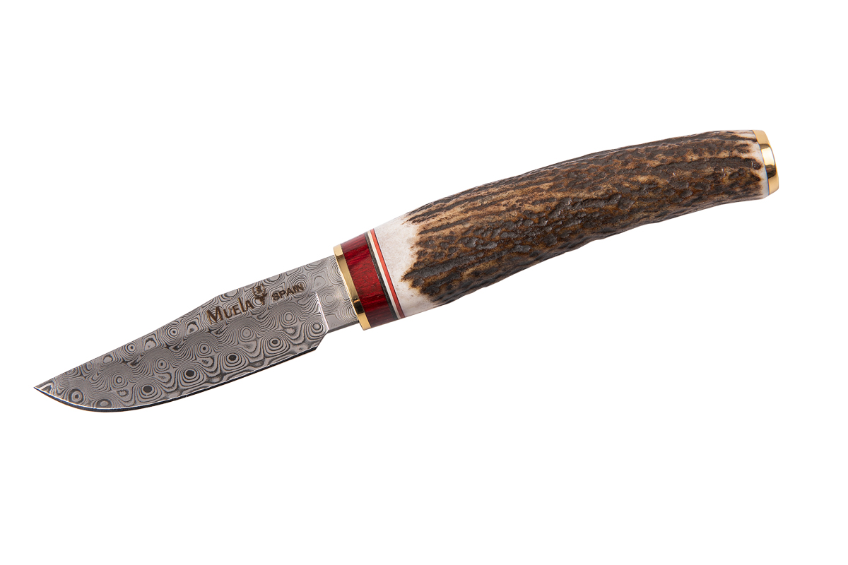 Knife with stag handle and brass BW-6DAM