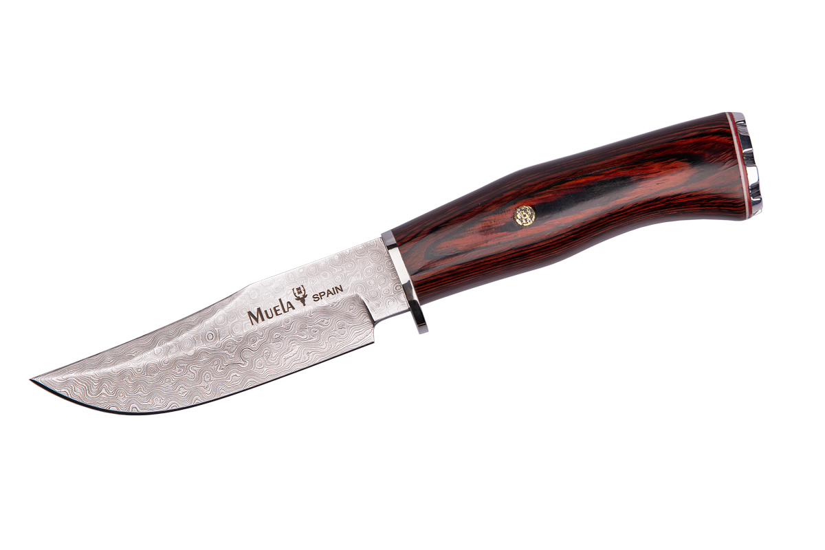 Knife with stag handle BRACO-11DAM M
