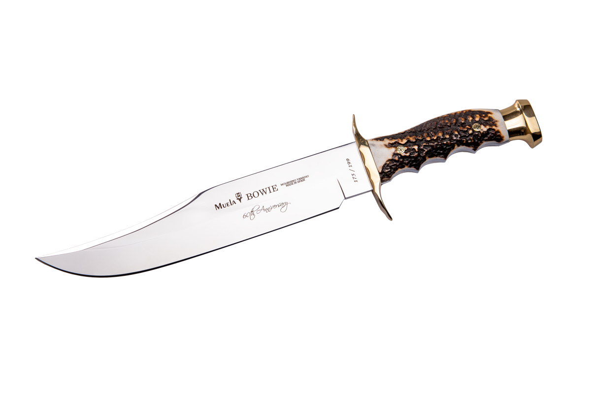 Luxury knives BWE-24A.TH
