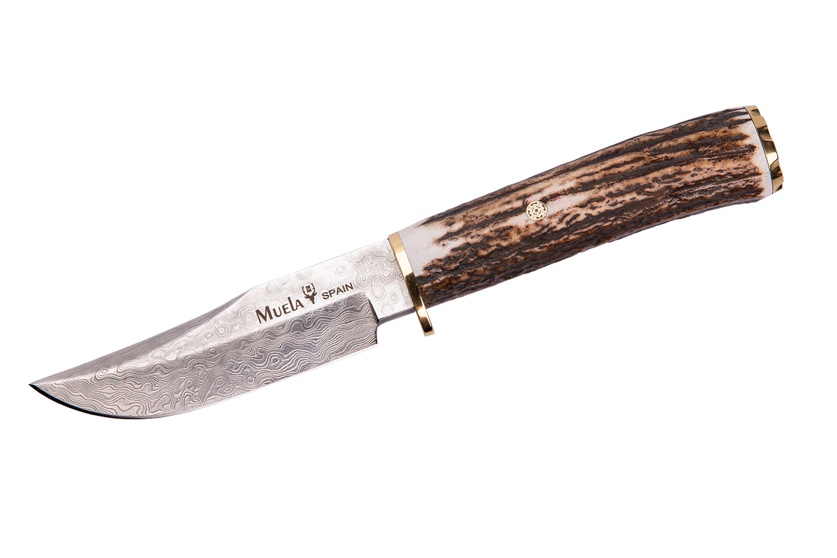 Knife with stag handle BRACO-11DAM